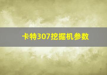 卡特307挖掘机参数