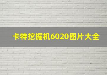 卡特挖掘机6020图片大全