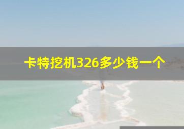 卡特挖机326多少钱一个