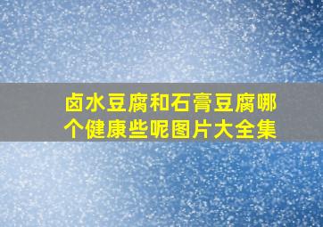 卤水豆腐和石膏豆腐哪个健康些呢图片大全集