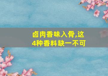 卤肉香味入骨,这4种香料缺一不可