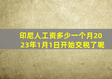 印尼人工资多少一个月2023年1月1日开始交税了呢