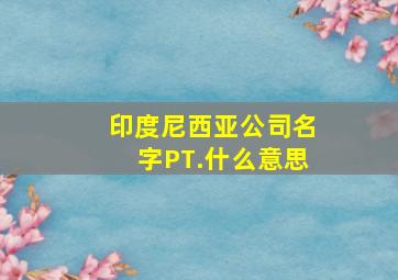 印度尼西亚公司名字PT.什么意思