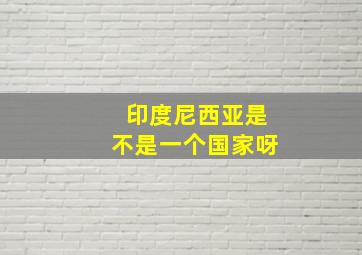 印度尼西亚是不是一个国家呀