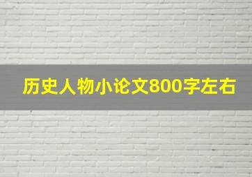 历史人物小论文800字左右