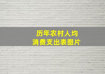 历年农村人均消费支出表图片