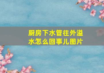 厨房下水管往外溢水怎么回事儿图片