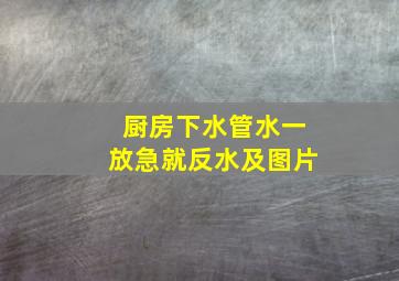 厨房下水管水一放急就反水及图片