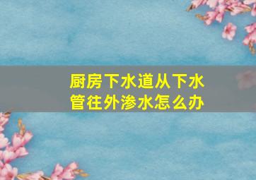 厨房下水道从下水管往外渗水怎么办