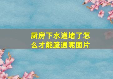 厨房下水道堵了怎么才能疏通呢图片