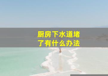 厨房下水道堵了有什么办法