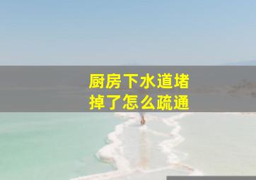 厨房下水道堵掉了怎么疏通