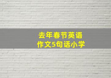 去年春节英语作文5句话小学