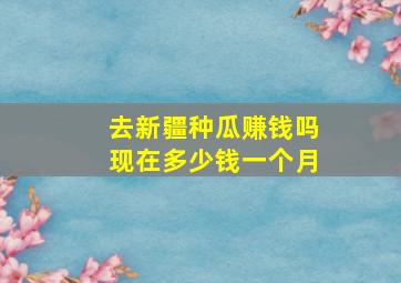 去新疆种瓜赚钱吗现在多少钱一个月