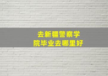 去新疆警察学院毕业去哪里好