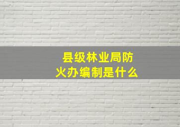 县级林业局防火办编制是什么