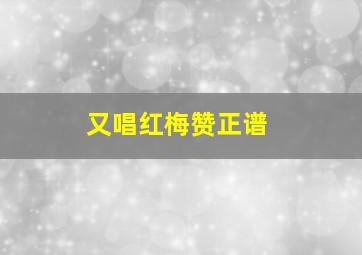 又唱红梅赞正谱