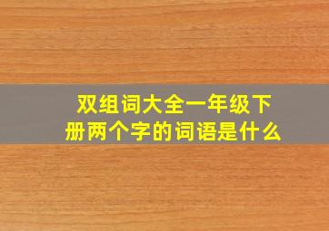 双组词大全一年级下册两个字的词语是什么