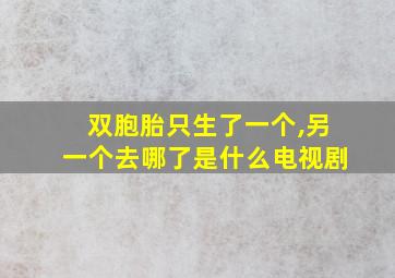 双胞胎只生了一个,另一个去哪了是什么电视剧