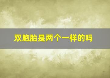 双胞胎是两个一样的吗