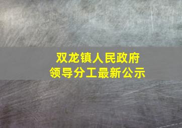 双龙镇人民政府领导分工最新公示