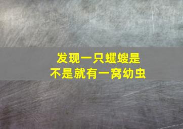 发现一只蠼螋是不是就有一窝幼虫