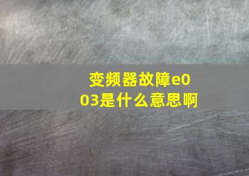 变频器故障e003是什么意思啊