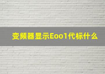 变频器显示Eoo1代标什么