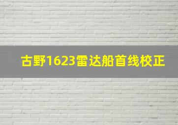 古野1623雷达船首线校正