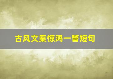 古风文案惊鸿一瞥短句