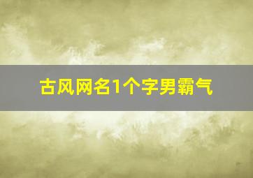 古风网名1个字男霸气