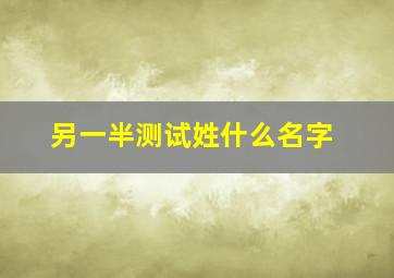 另一半测试姓什么名字