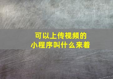 可以上传视频的小程序叫什么来着