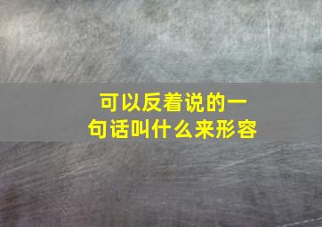 可以反着说的一句话叫什么来形容