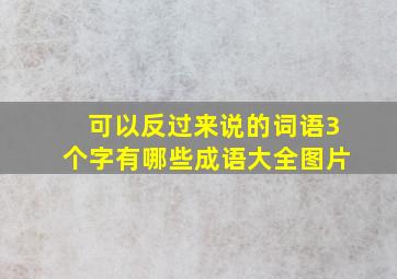 可以反过来说的词语3个字有哪些成语大全图片