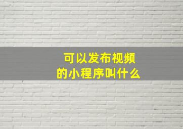 可以发布视频的小程序叫什么