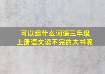 可以组什么词语三年级上册语文读不完的大书呢