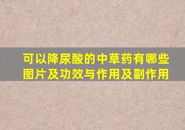 可以降尿酸的中草药有哪些图片及功效与作用及副作用