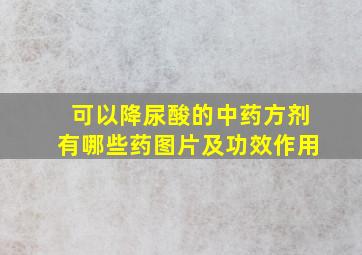 可以降尿酸的中药方剂有哪些药图片及功效作用