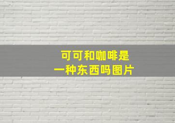 可可和咖啡是一种东西吗图片