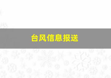 台风信息报送