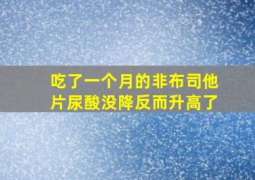 吃了一个月的非布司他片尿酸没降反而升高了