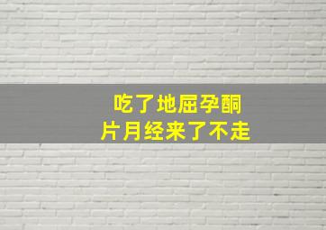 吃了地屈孕酮片月经来了不走