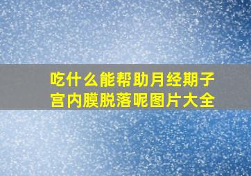 吃什么能帮助月经期子宫内膜脱落呢图片大全