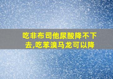 吃非布司他尿酸降不下去,吃苯溴马龙可以降