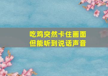 吃鸡突然卡住画面但能听到说话声音