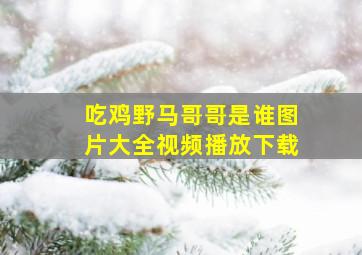 吃鸡野马哥哥是谁图片大全视频播放下载