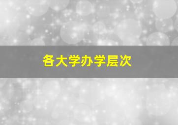 各大学办学层次