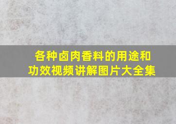 各种卤肉香料的用途和功效视频讲解图片大全集