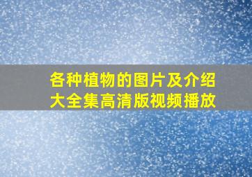 各种植物的图片及介绍大全集高清版视频播放